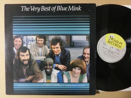 試聴 NZのみエディット You Are The Sunshine Of My Life カバー Madeline Bell Vo. The Very Best Of Blue Mink LP フリーソウル MURO拍卖