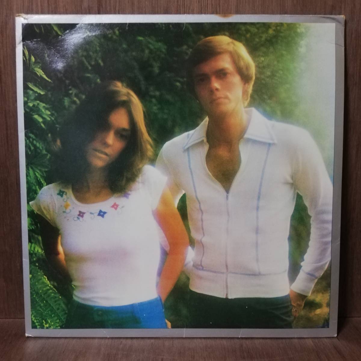LP - Carpenters - Horizon - GP-235 - *25拍卖