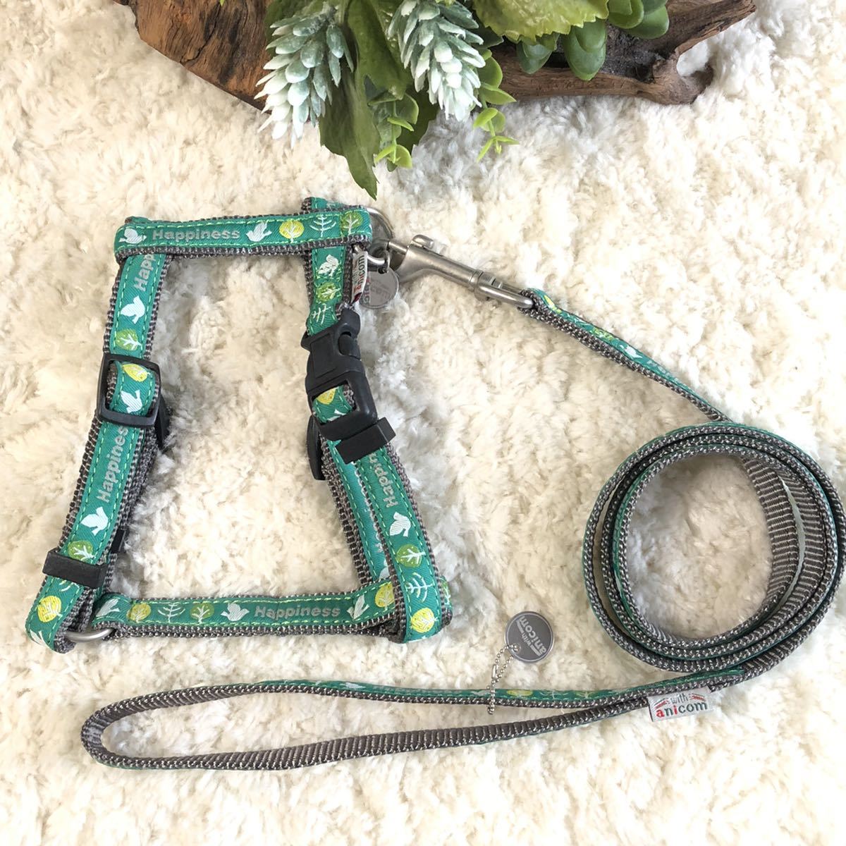 ★同梱お得★胴輪&リード・小型犬・アイシリーズ-No.59・グリーン♪拍卖
