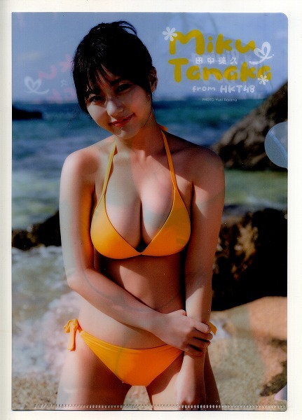 ヤングアニマル 2022年23号付録 田中美久 クリアファイル拍卖