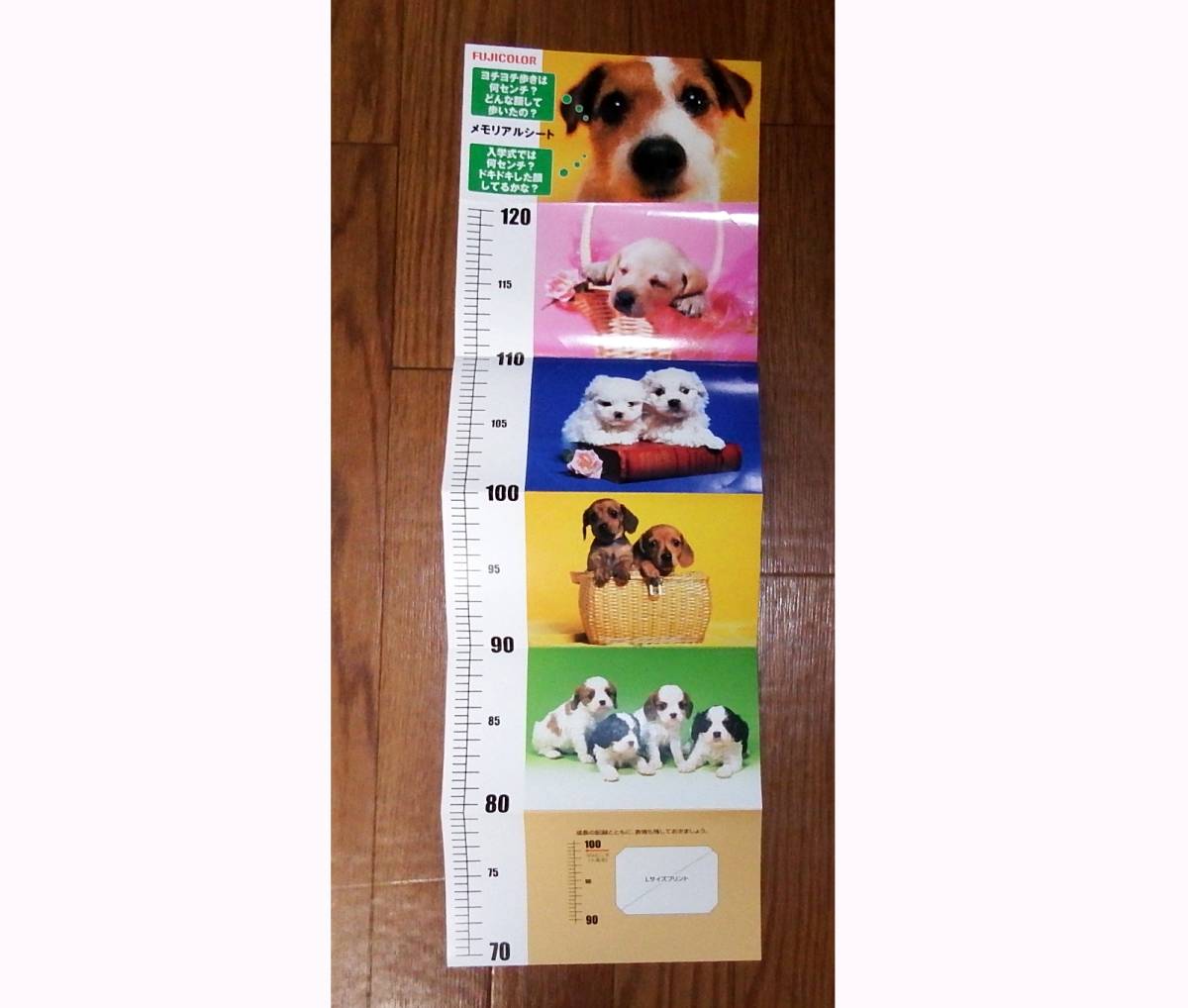 ACB2664 メモリアルシート 3枚 美品拍卖