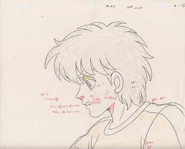 魔法の妖精ペルシャ 動画(29Y25-413)拍卖