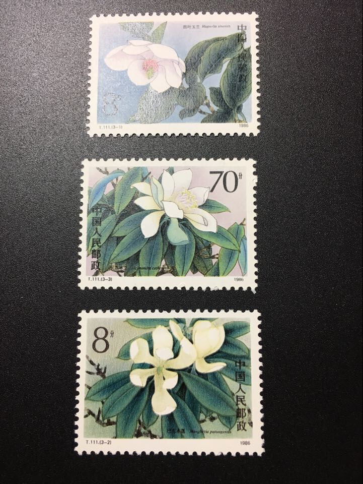 ★既決★中国切手 3種完 未使用 木蓮拍卖