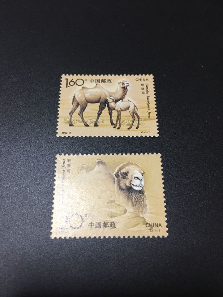 ★既決★ 中国切手 駱駝 2種完 未使用拍卖