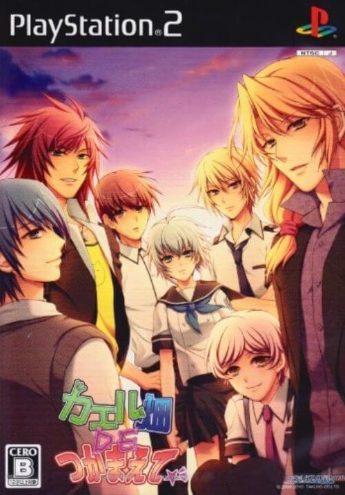 研磨 追跡有 カエル畑DEつかまえて PS2(プレイステーション2)拍卖