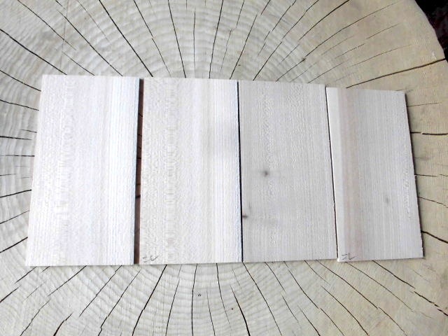 ニレ(楡)薄板 No.20141001nir拍卖