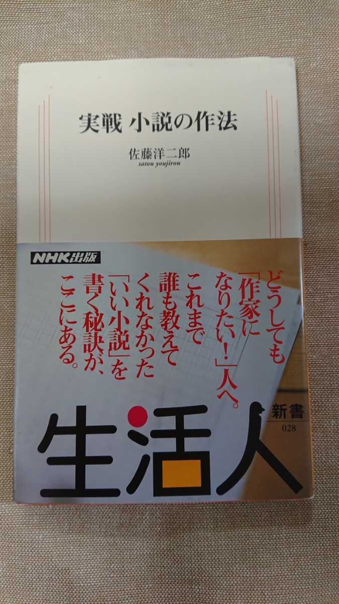 実戦 小説の作法☆佐藤洋二郎★送料無料拍卖
