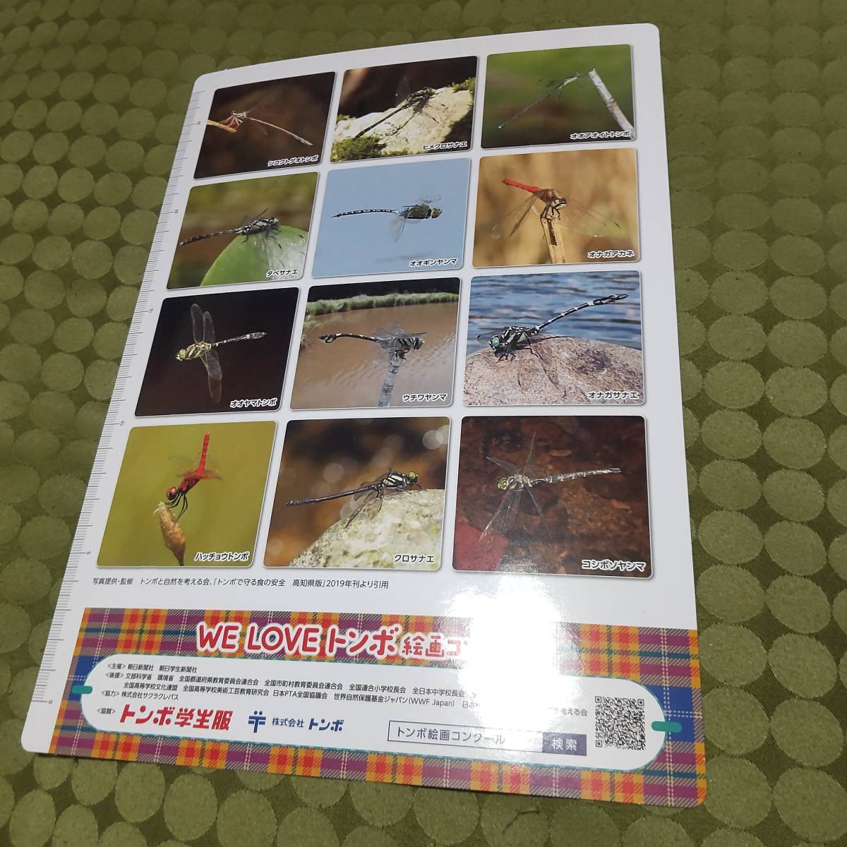 トンボ Tombow 2023年 トンボの絵 絵画コンクール 参加賞 下敷き 定規メモリ付き拍卖