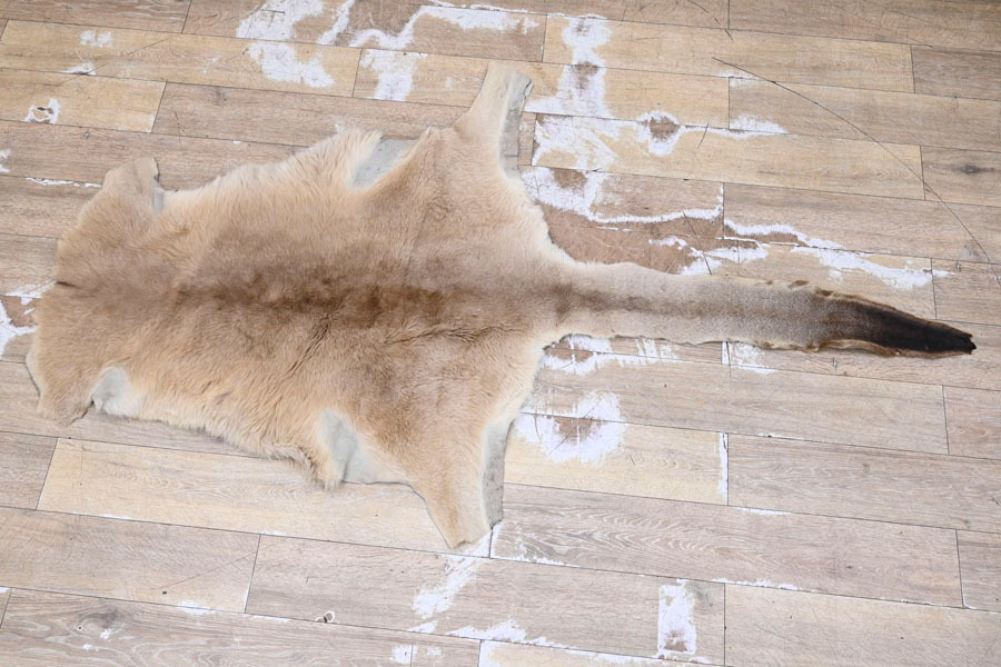Z033 毛皮 敷物 ラグ 毛革 全長2m拍卖