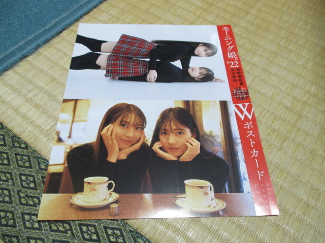 モーニング娘★牧野真莉愛 & 北川莉央★Wポストカード & 切り抜きセット★少年サンデー拍卖