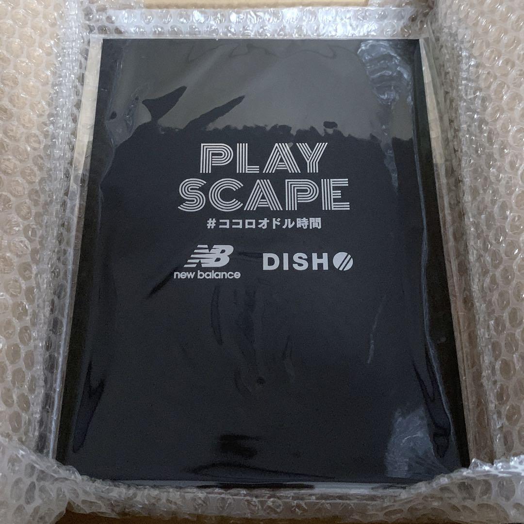 ニューバランス DISH// 非売品 撮り下ろしZINE zine dish 本 new balance ココロオドルグッズキャンペーン B賞 冊子拍卖