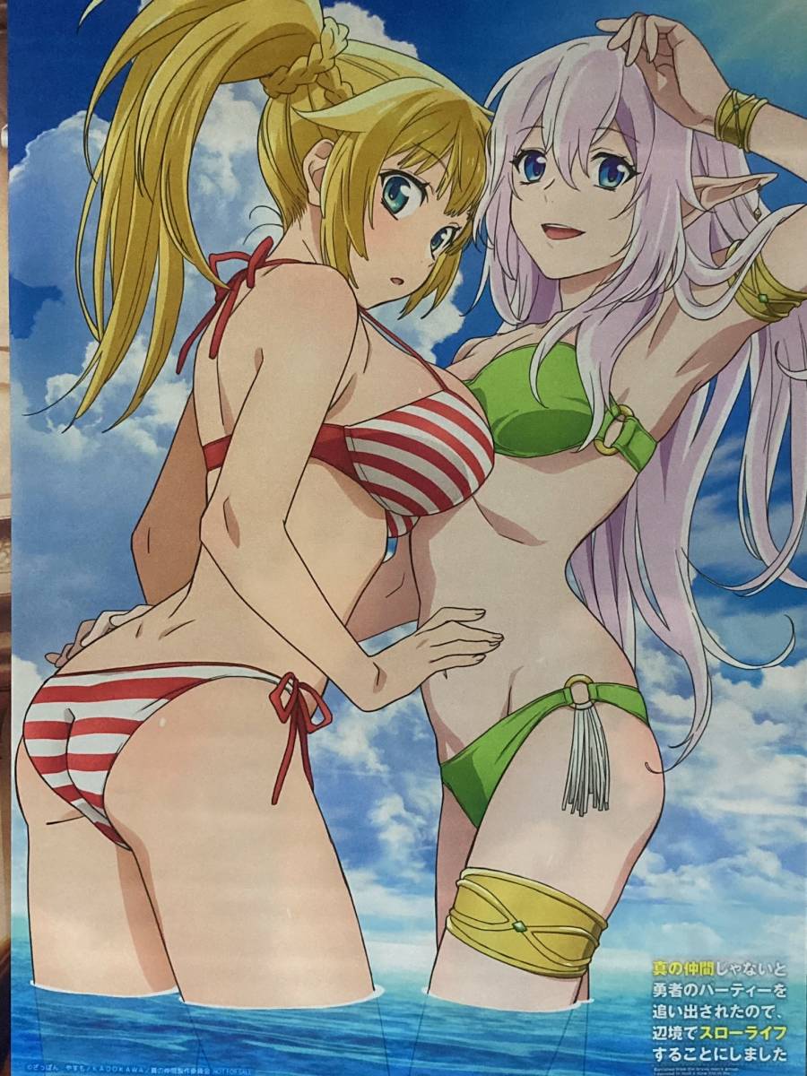 真の仲間じゃないと勇者のパーティーを追い出されたので、辺境でスローライフすることにしました ソフマップ BD/DVD 全巻特典 タペストリー拍卖