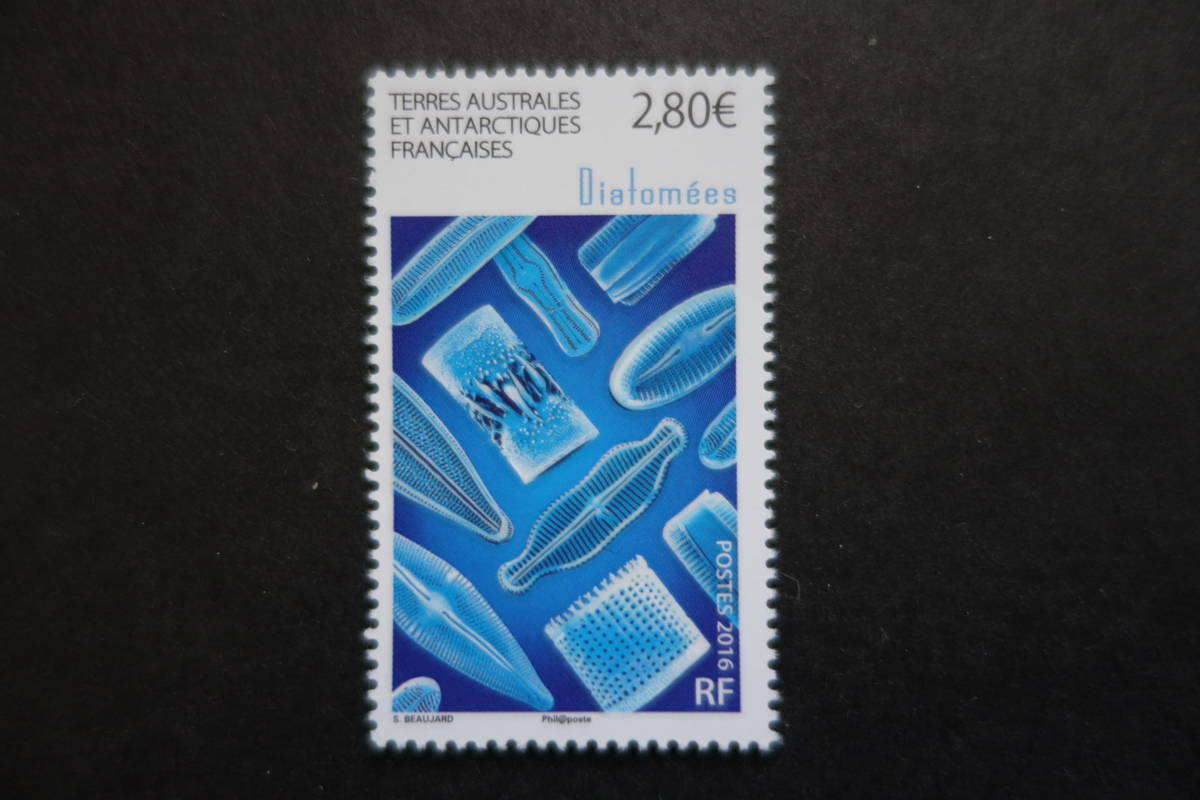外国切手: 仏領南方・南極地域切手「珪藻」 1種完 未使用拍卖