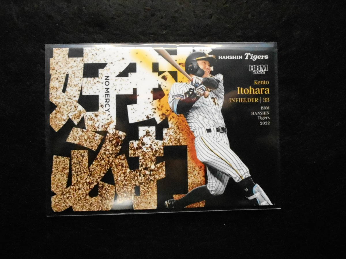 BBM2022阪神タイガースベースボールカード糸原健斗拍卖