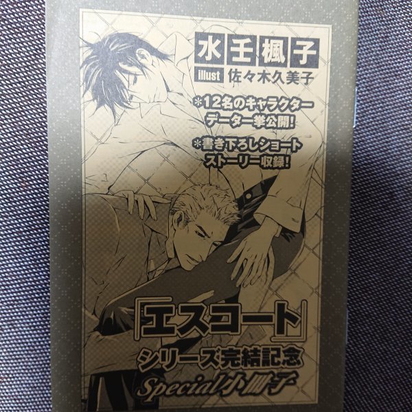 非売品★BLリンクスロマンス番外編 水壬楓子「エスコート」シリーズ完結記念Special小冊子拍卖