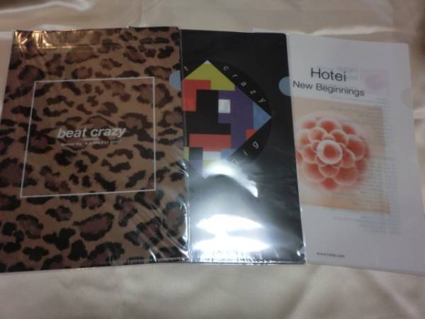 ☆布袋寅泰 ♪HOTEI 新品 BC・ONLY+1 クリアファイル 会場限定拍卖