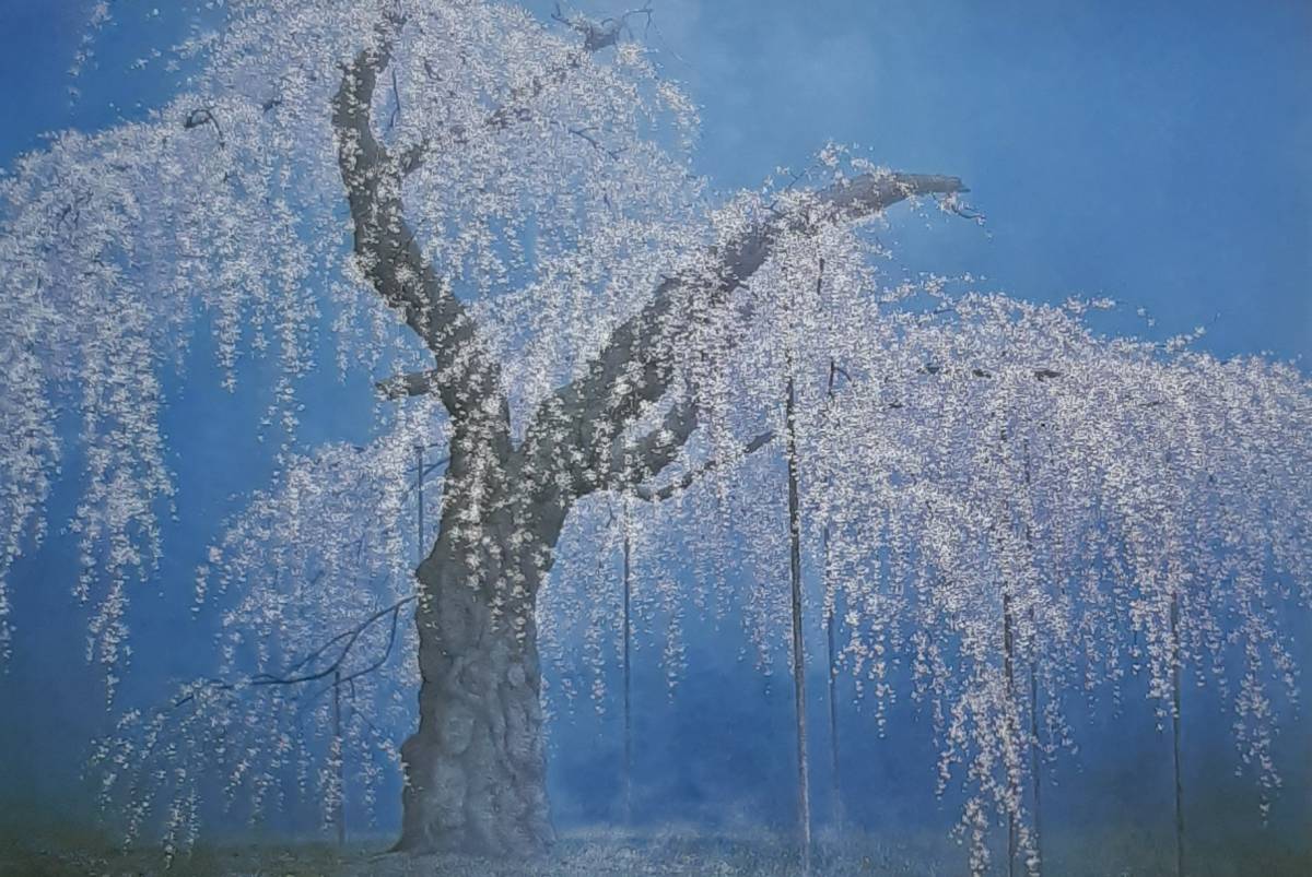 酒井英利、「桜花生々」、希少画集の額装画、四季、風景、人気作品、オーダーマット付・日本製新品額入り、送料無料拍卖