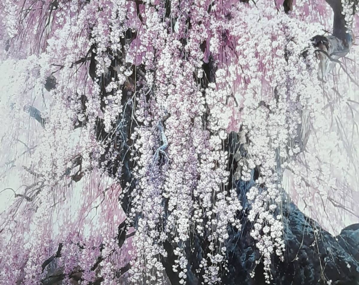 三栖右嗣、「爛漫」、希少画集の額装画、四季、風景、人気作品、オーダーマット付・日本製新品額入り、送料無料拍卖