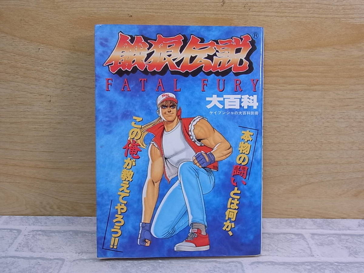 △E/603●ケイブンシャ☆餓狼伝説 大百科☆攻略本 ガイドブック☆初版 平成6年6月15日☆中古品拍卖