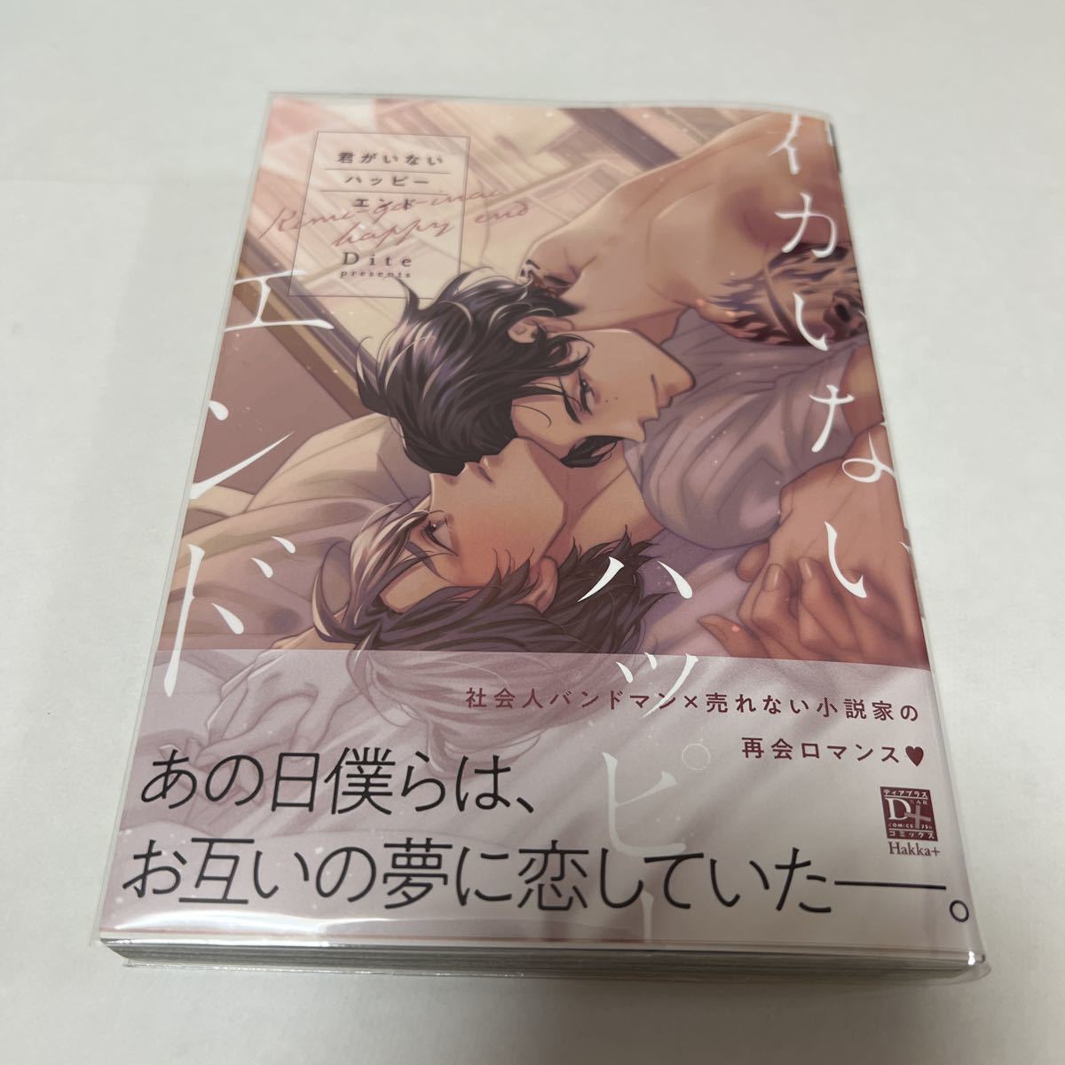 BL 3548 君がいないハッピーエンド…Dite拍卖