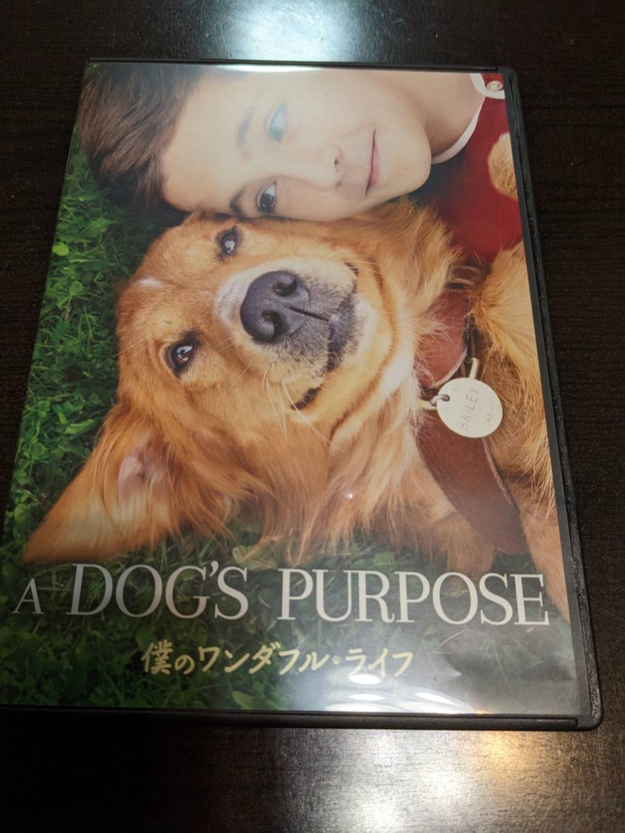 ☆DVD 僕のワンダフル・ライフ拍卖