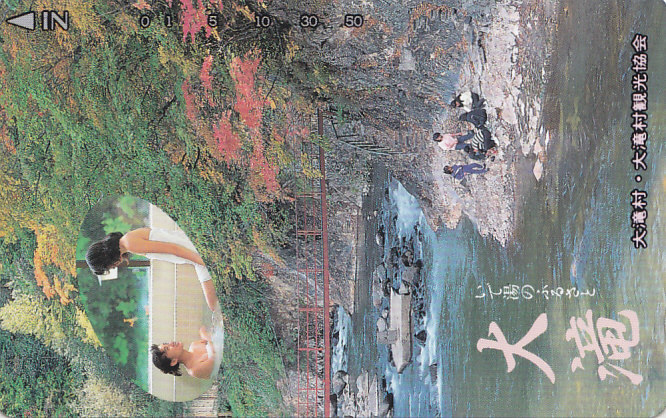 大滝村観光協会 /温泉 女性入浴【テレカ】F. 10.17 ★送料最安60円~拍卖