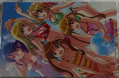 どきどきすいこでん 特典ポストカード2枚セット拍卖