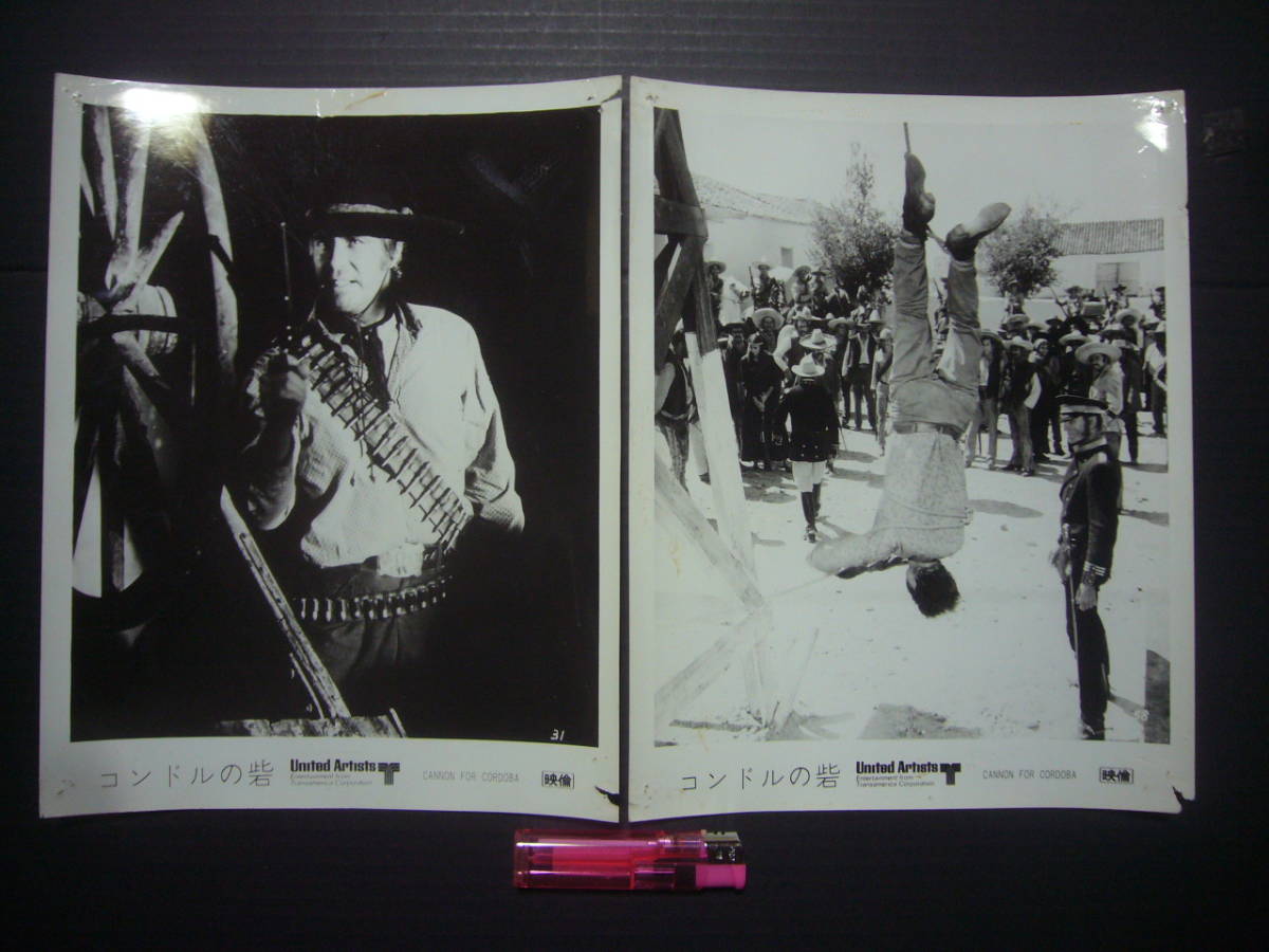 ★ロビーカード★L356 コンドルの砦 12枚拍卖