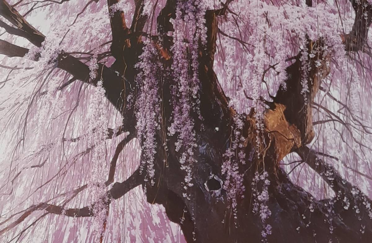 三栖右嗣、「爛漫」、希少画集の額装画、四季、風景、人気作品、オーダーマット付・日本製新品額入り、送料無料拍卖