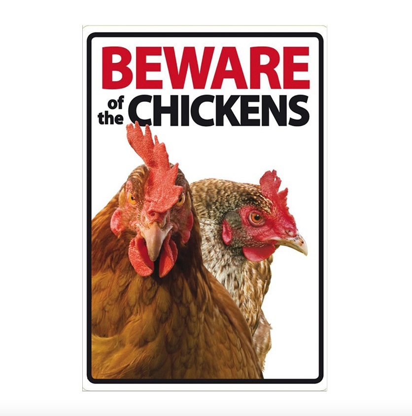 A541 メタル サイン ブリキ 看板 金属 製 プレート おもしろ 警告 注意 にわとり 鶏 チキン 鳥 ペット 動物 家畜 庭【G】拍卖