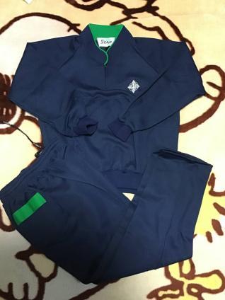 3L ダービースター 特大 体操着 体操服 ジャージ 上下 紺色 緑 白 刺繍 校章 かぶり 希少 現品限り 送料無料 匿名 ☆ おてがる ゆうパック拍卖