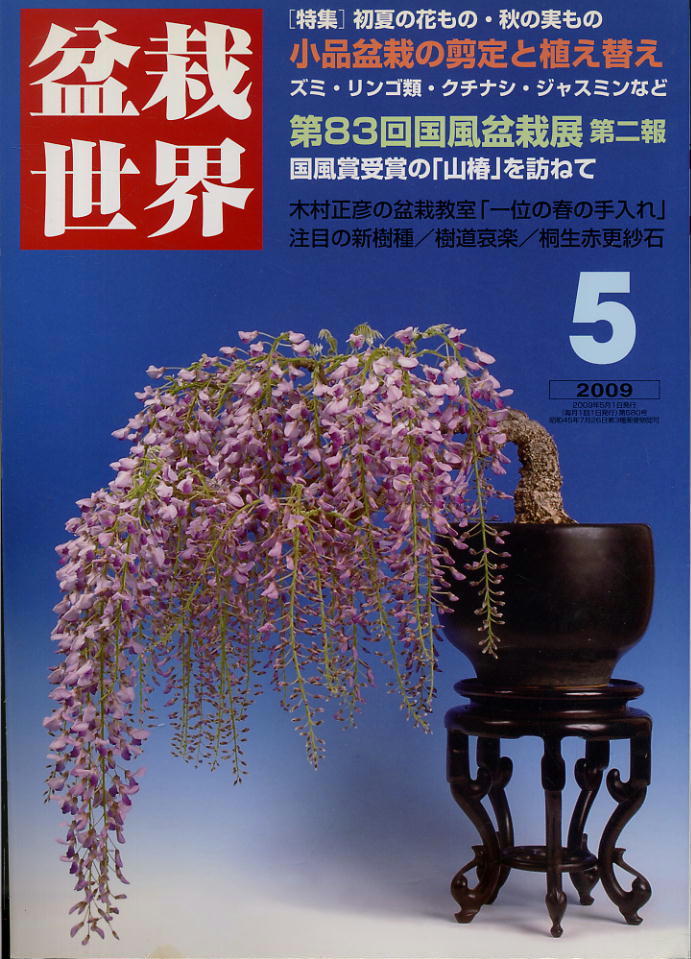 【盆栽世界】2009.05★ 小品盆栽の剪定と植え替え拍卖