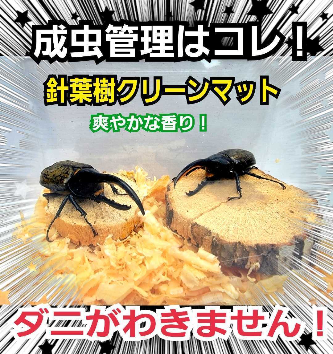 カブトムシ、クワガタの成虫飼育にはコレ!爽やかな香りの針葉樹クリーンマット!ケース内が明るくなり生体が目立つ☆抗菌消臭防ダニ効果も拍卖