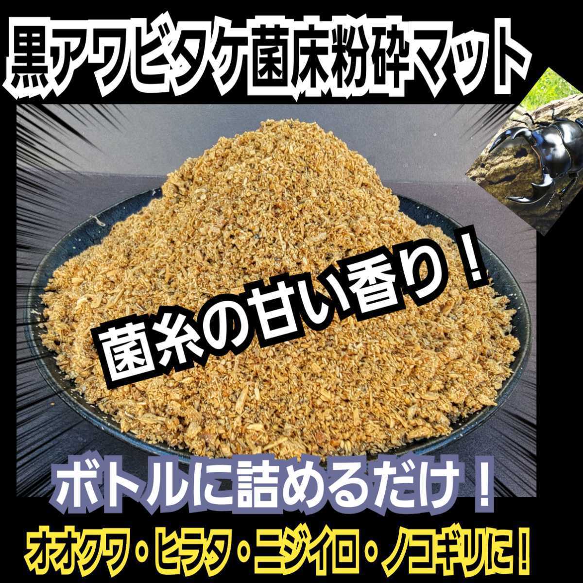 クワガタ幼虫専用 黒アワビタケ菌床粉砕マット ボトルに詰めるだけ!オオクワ・ヒラタ・ニジイロ・ノコギリに抜群 菌糸の甘い香りします拍卖