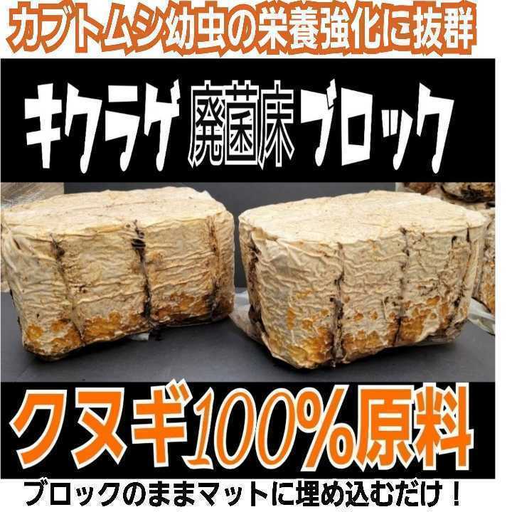 カブトムシ幼虫の栄養強化に!キクラゲ菌床【2ブロック】マットに埋めるだけで幼虫がモリモリ食べます!クワガタの産卵床にも!クヌギ100%拍卖