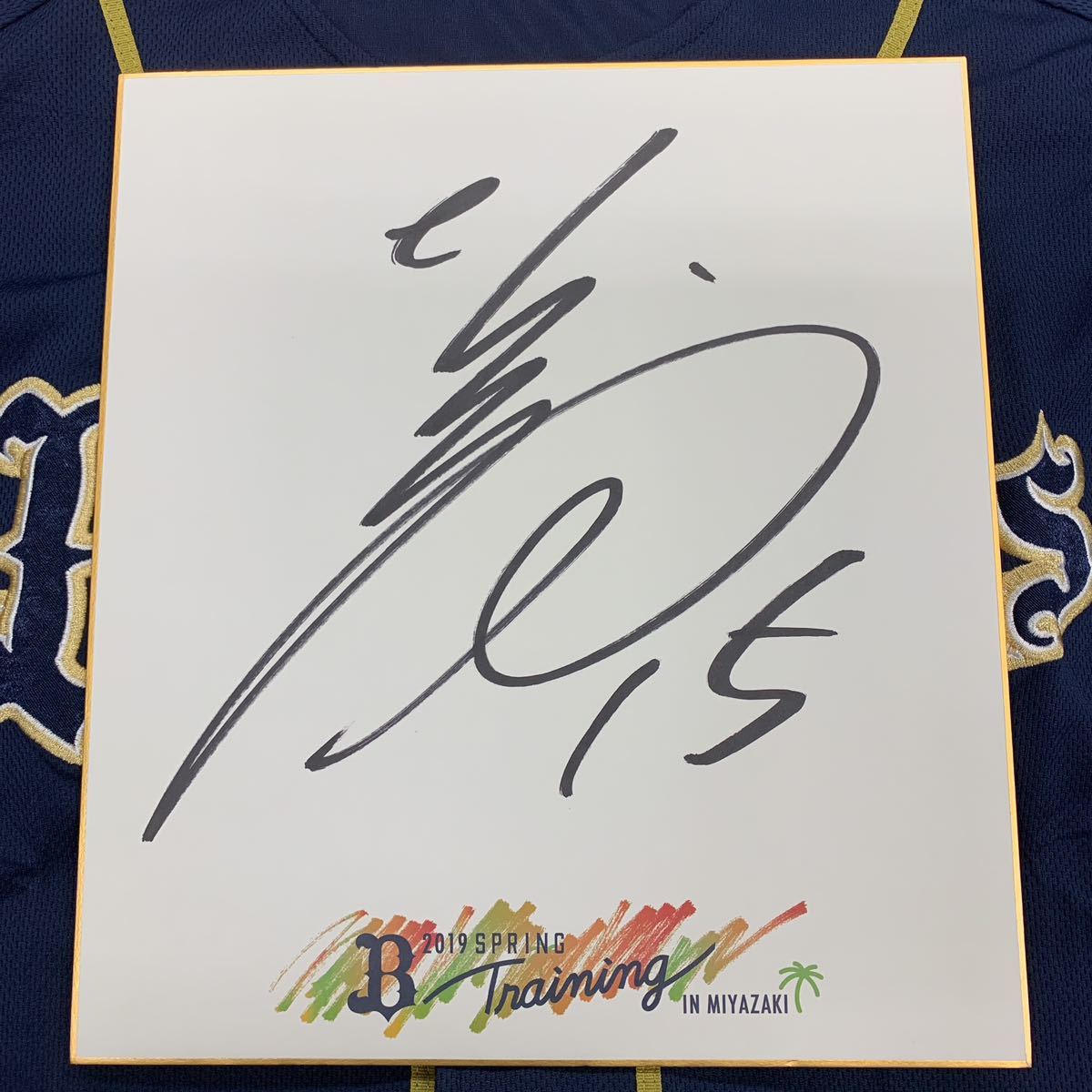 元オリックスバッファローズ 荒西祐大選手のサイン入り2019宮崎キャンプ色紙拍卖