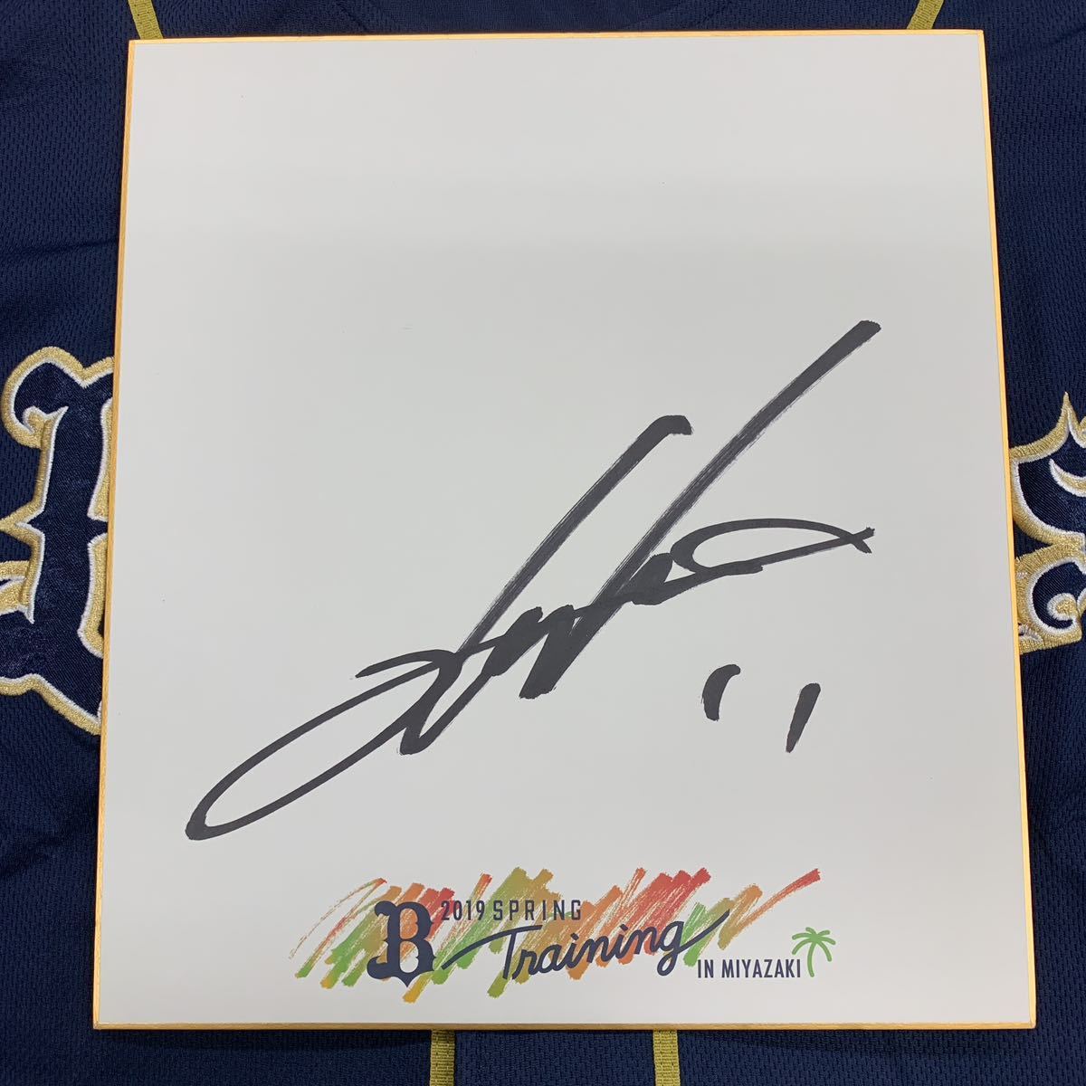 元オリックスバッファローズ 松葉貴大選手のサイン入り2019宮崎キャンプ色紙 中日ドラゴンズ拍卖