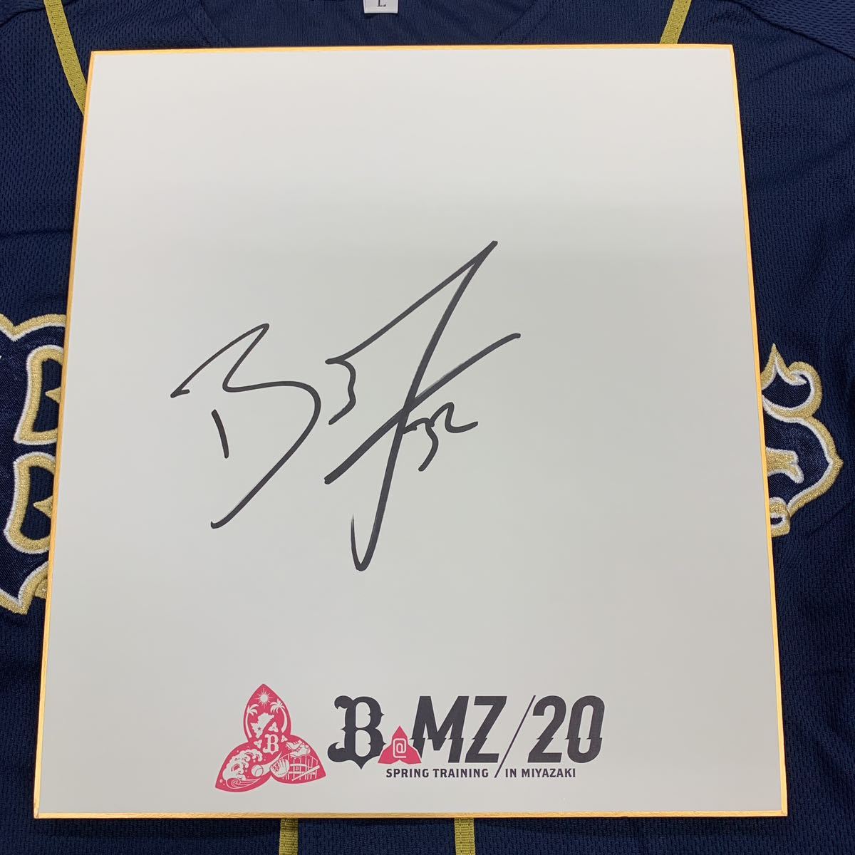 元オリックスバッファローズ ブランドン・ディクソン選手のサイン入り2020宮崎キャンプ色紙 カージナルス拍卖