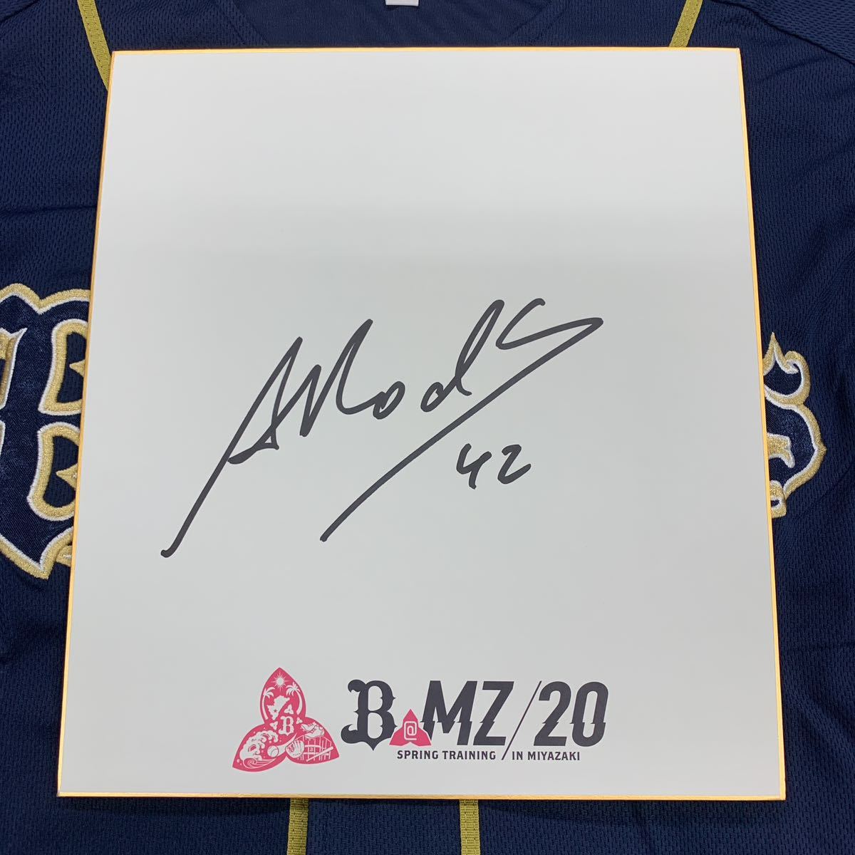 オリックスバッファローズ アデルリン・ロドリゲス選手のサイン入り2020宮崎キャンプ色紙拍卖