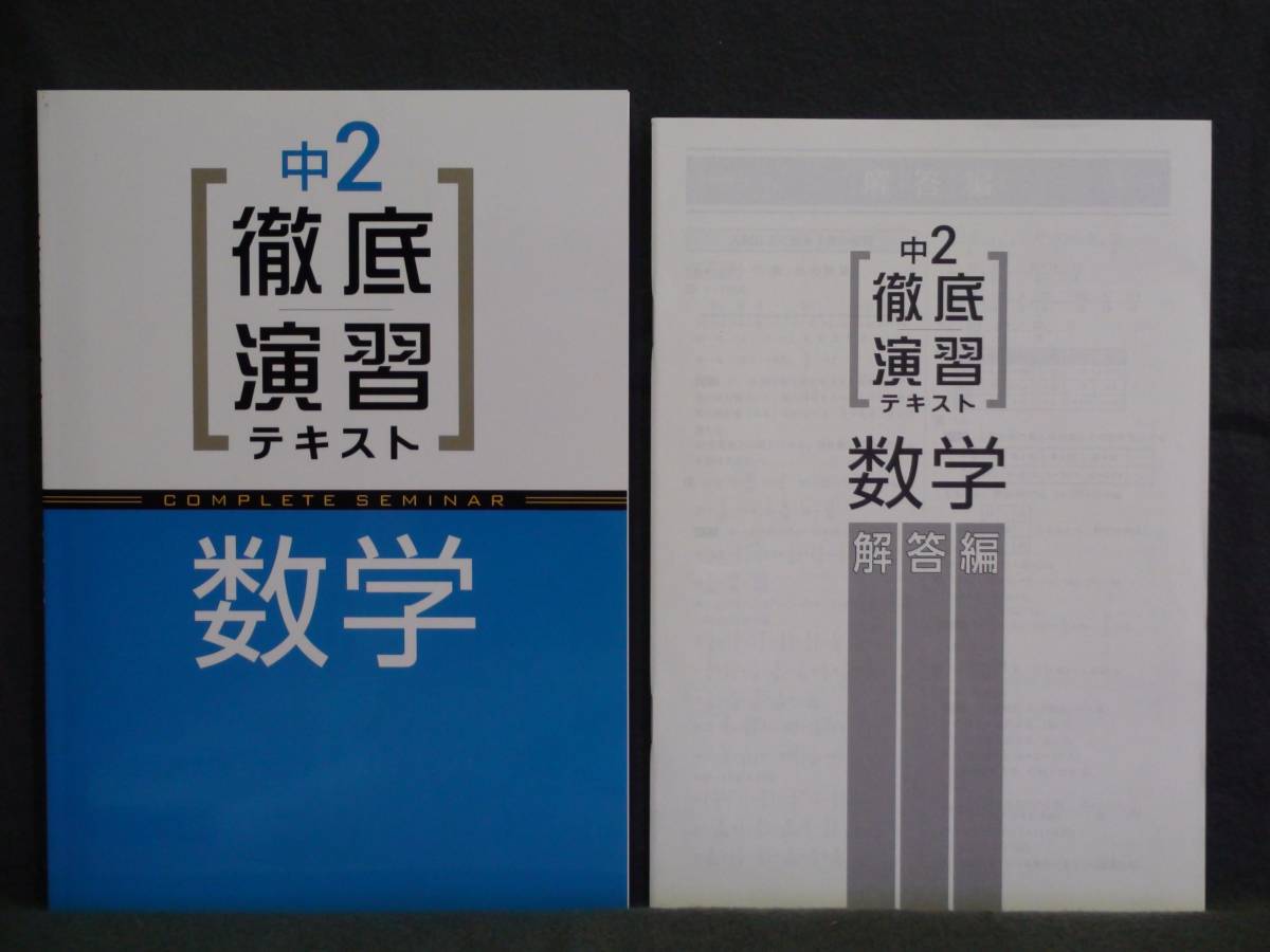 ★ 即発送 ★ 新品 徹底演習テキスト 数学2 解答付拍卖