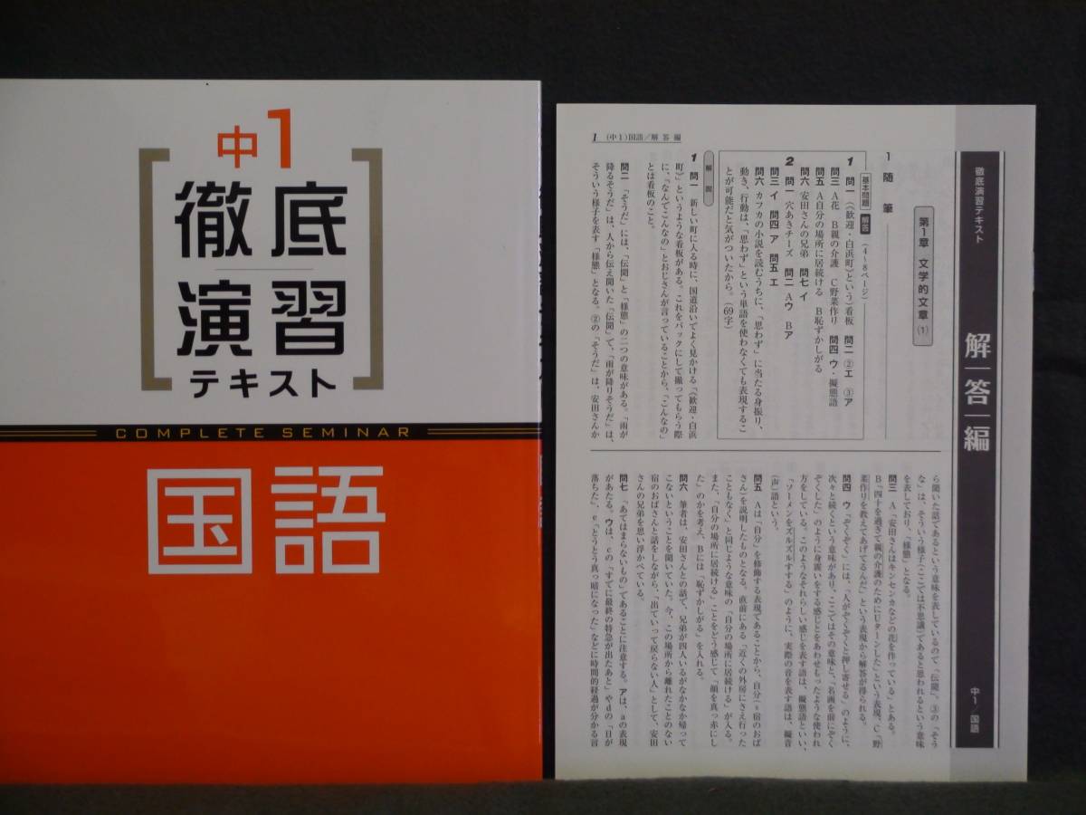 ★ 即発送 ★ 新品 徹底演習テキスト 国語1 解答付拍卖