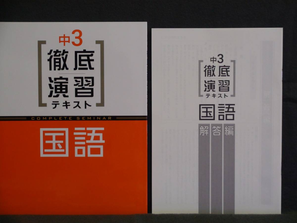 ★ 即発送 ★ 新品 徹底演習テキスト 国語3 解答付拍卖