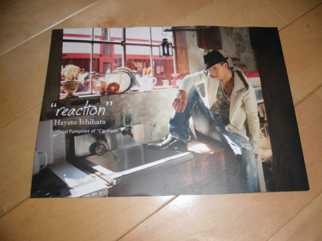 市原隼人//reaction//Official Pamphlet of Cardigan//オフィシャルパンフレット拍卖