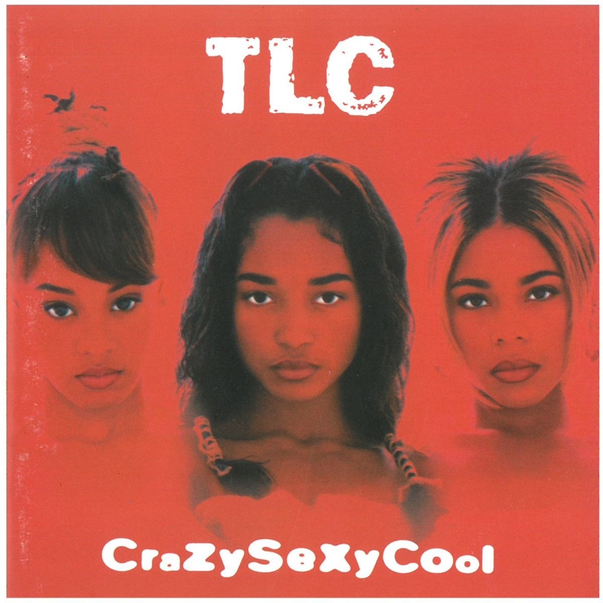 TLC(ティーエルシー) / Crazy Sexy Cool ディスクに傷有り CD拍卖
