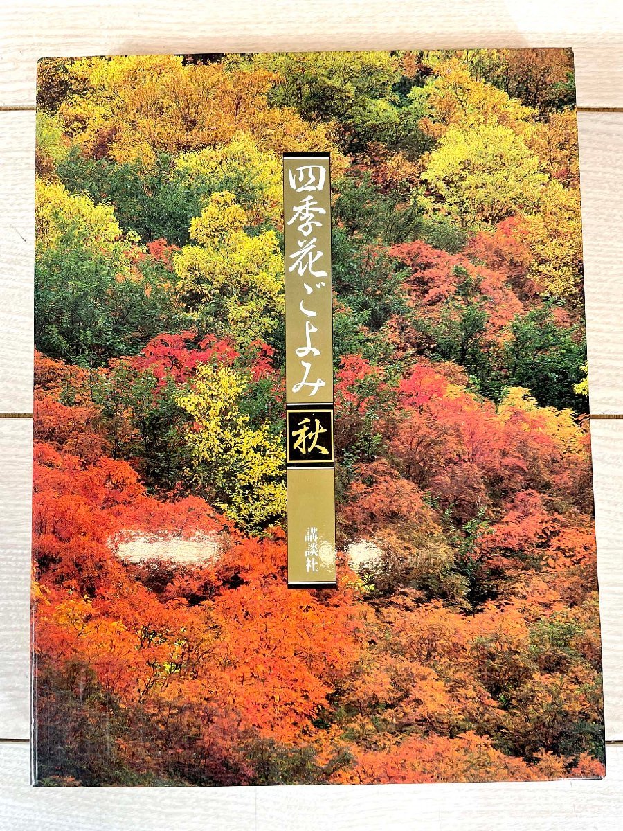 TS2774_Ts◆モデルR展示品◆和書 季節◆景色◆四季花ごよみ 秋◆講談社◆W236 H311 D26◆拍卖
