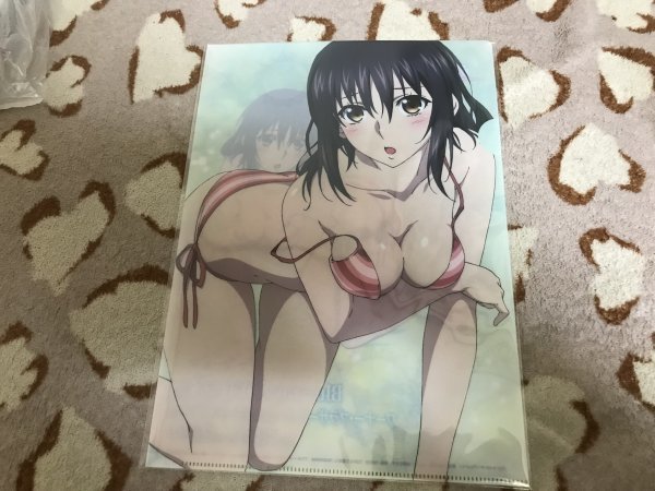 d104クリアファイル ストライク・ザ・ブラッド 姫柊雪菜 水着 メガミマガジン メロンブックス特典拍卖