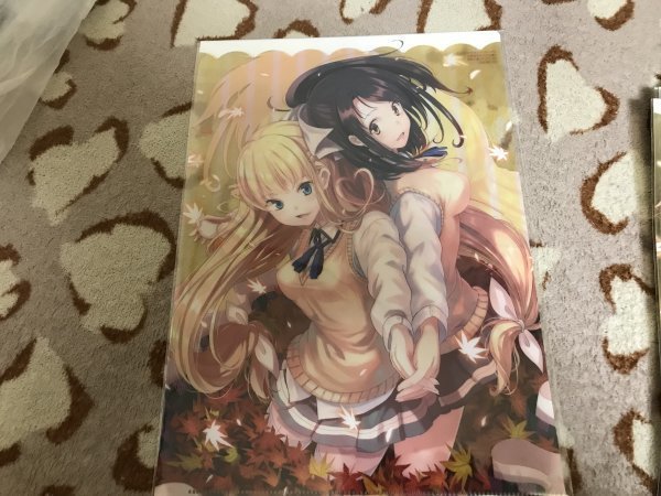 d104クリアファイル ブラックリリィと白百合ちゃん  鳳まひろ  3巻 メロンブックス特典拍卖