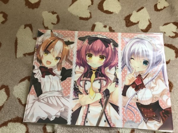 d104クリアファイル むりりん ゆずソフト  鷹乃ゆき 羽純りお  メロンブックス特典拍卖