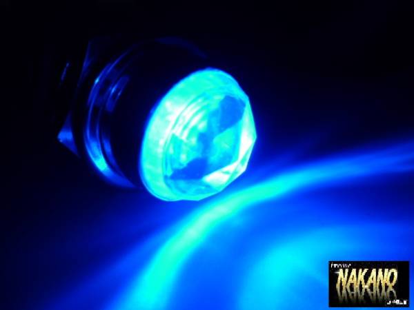トラック用 LED パイロットランプ ナンバー枠に ブルー/青 24V20ヶセット ナンバー枠や看板灯 アンドン 室内灯等に 拍卖