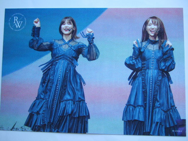 櫻坂46 渡邉理佐 卒業コンサート DVD/Blu-ray 購入特典 ポストカード RISA WATANABE GRADUATION CONCERT 森田ひかる 山﨑天 田村保乃 No4拍卖